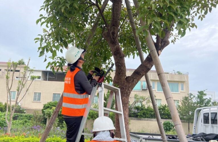 颱風來襲！　高市公園處強化護樹防颱準備  