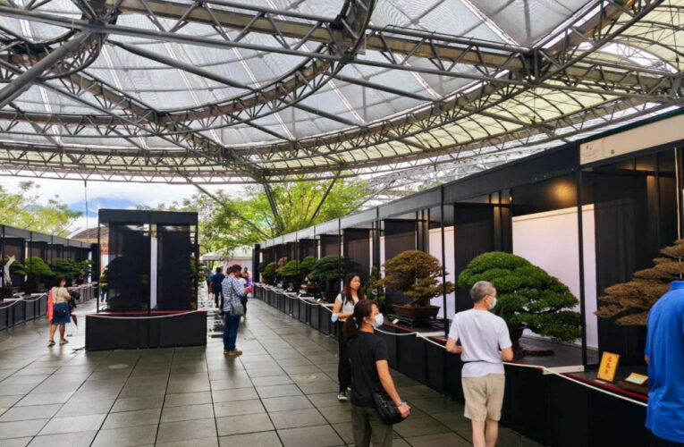 全國華風展移師屏東 歡迎前來這冬季之旅