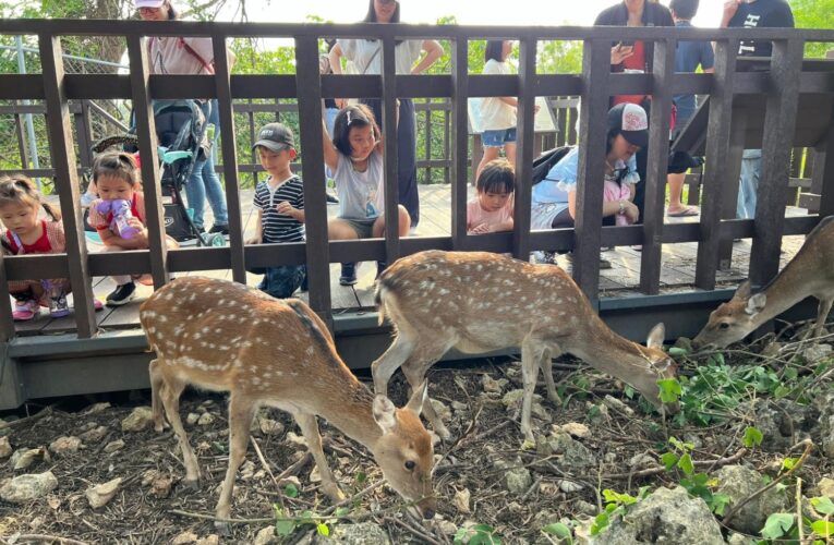 感謝救災英雄 憑證壽山動物園年底前免費入園