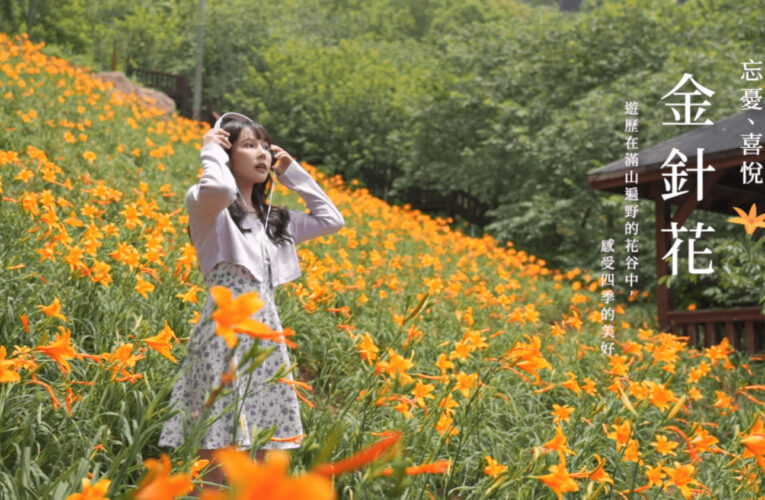 台中四季花海驚豔登場！　觀旅局帶您走訪五大花卉秘境、邂逅季節限定之美