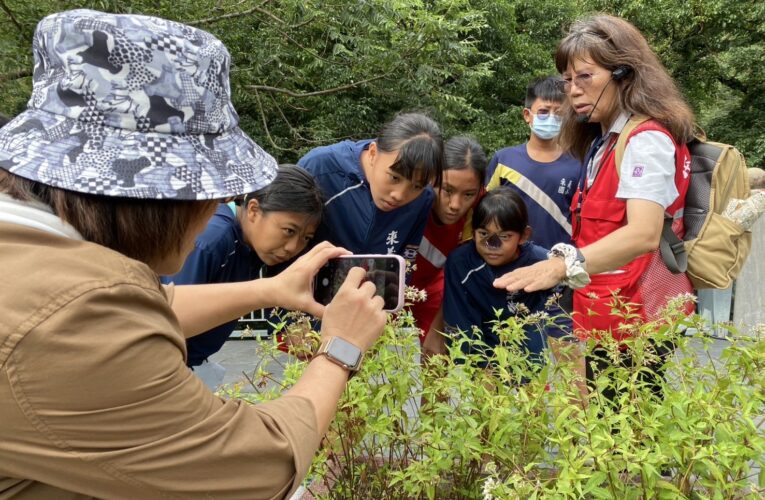 來義國小至茂林環境教育中心相迎紫斑蝶嬌客至南麓山林過冬