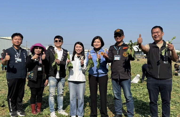 迎新年好彩頭｜雲林斗六拔蘿蔔助公益人潮滾滾