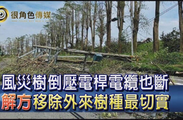 電纜下地方案｜風災重創電網致大停電 電纜安全地方倍關注