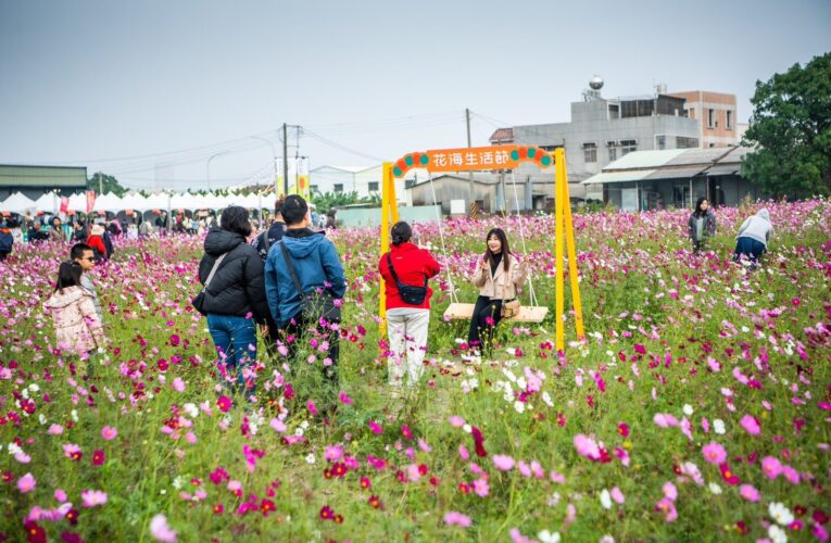 嘉義花海生活節浪漫登場　白日賞花夜晚觀星感受自然之美
