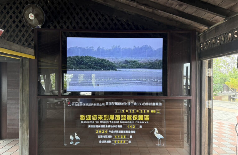 台江國家公園與明台產險公司ESG合作  －打造優質的黑面琵鷺即時影像服務