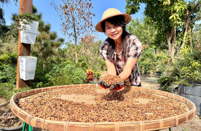 南分署產投在職課程 勞動部助她變身咖啡職人成就新事業