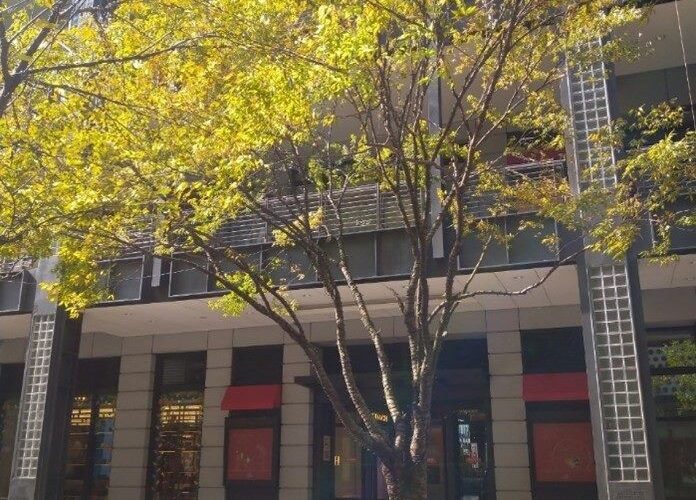 騎樓供公眾通行可以減免地價稅？ 減徵幅度一次看