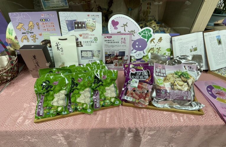 中市大安區優質營農環境專區導入健康種苗　力邀民眾購買在地優質芋頭