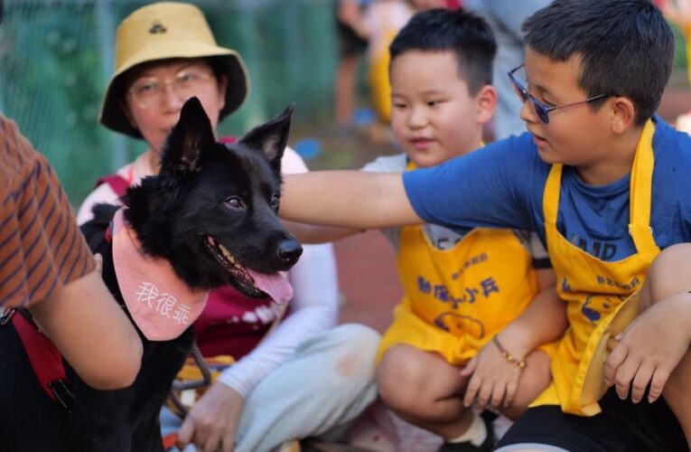 生命教育從小札根　新北動保小小兵體驗營　學習當好主人