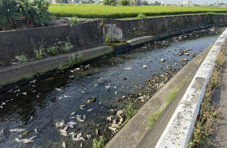 守護河川水體環境品質　中市環保局推動智慧監控