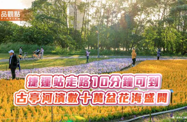 捷運站走路10分鐘可到 古亭河濱數十萬盆花海盛開