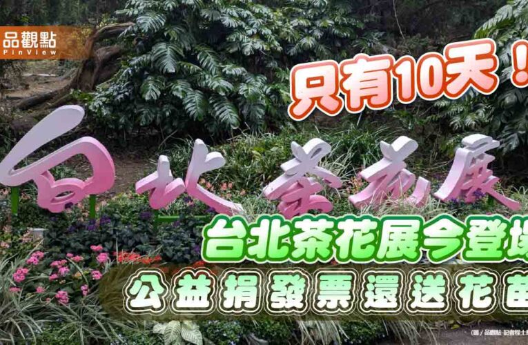 只有10天！台北茶花展今登場 公益捐發票還送花苗