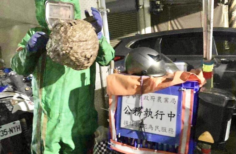 幸福安康迎蛇年！　中市府春節假期貼心服務不打烊