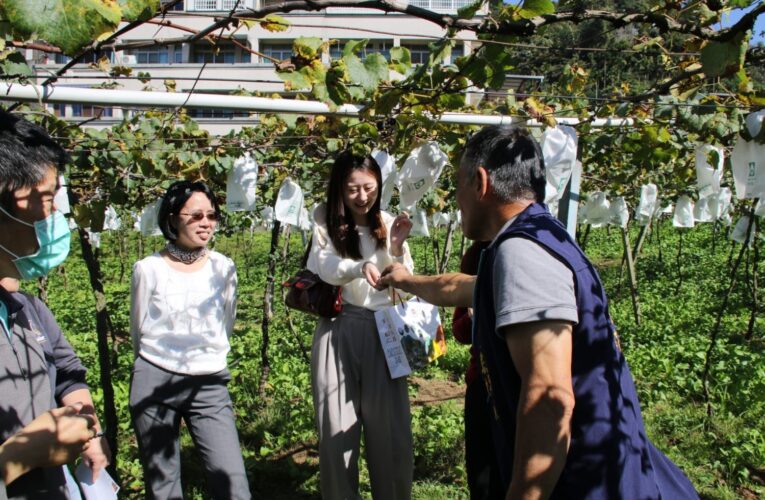 最美梅、李花季持續至元宵！　中市觀旅局推薦新社賞花趣