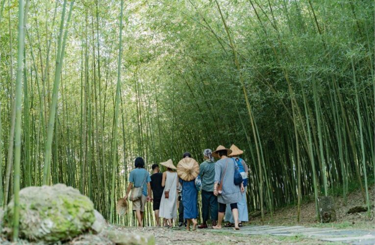 花蓮縣攜手五大休閒農業區 推動「與農共舞」創造旅遊新熱點