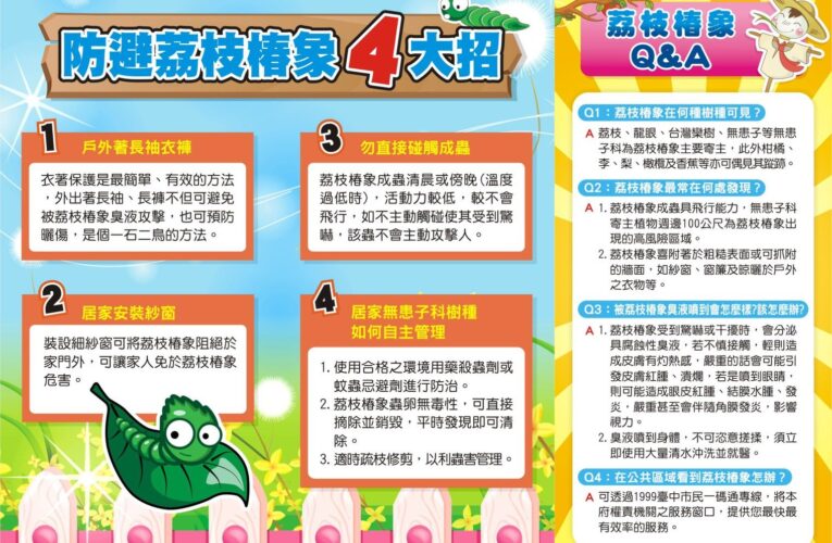 及早防範荔枝椿象　中市農業局呼籲：2/3起啟動區域整合防治