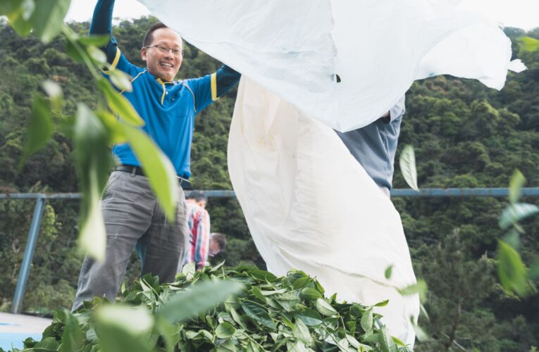 新北深坑農會總幹事黃土水　投入製茶產業　奪特等展現硬實力