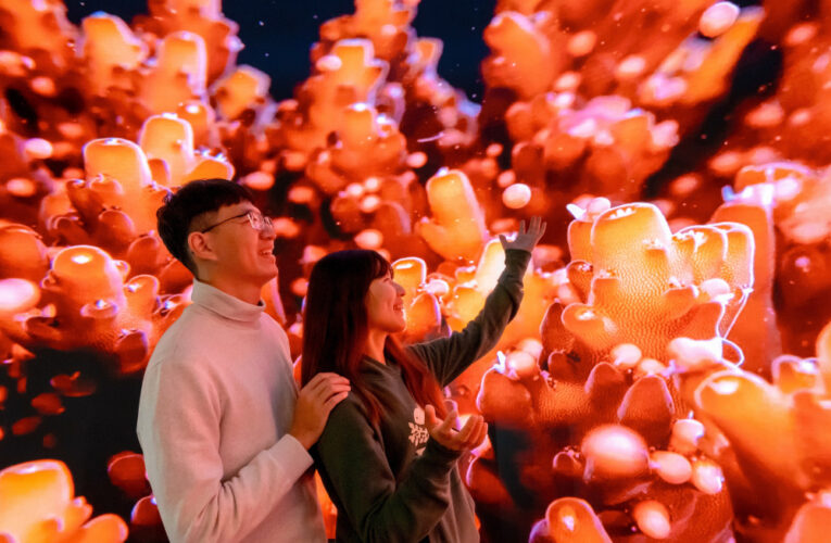 屏東海生館首創沉浸式弧形LED攝影棚！翻轉海洋視界震撼登場