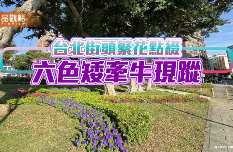 台北街頭繁花點綴 六色矮牽牛現蹤