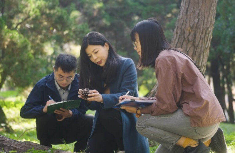 國際肯定！興大柳婉郁團隊以都市森林研究助力綠色未來