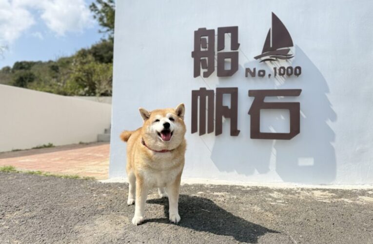 福容墾丁搶攻寵物商機 讓您帶著毛孩一起睡！