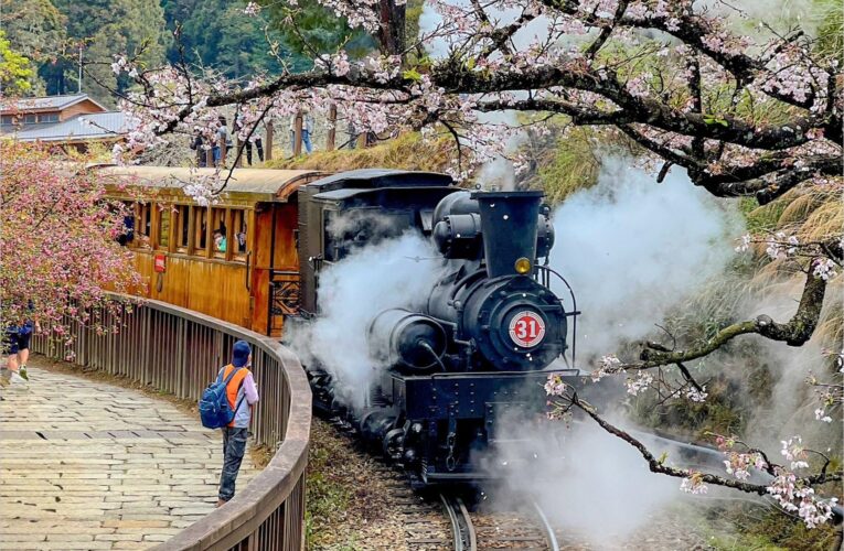 阿里山古老蒸汽火車賞櫻2/25日開放訂票