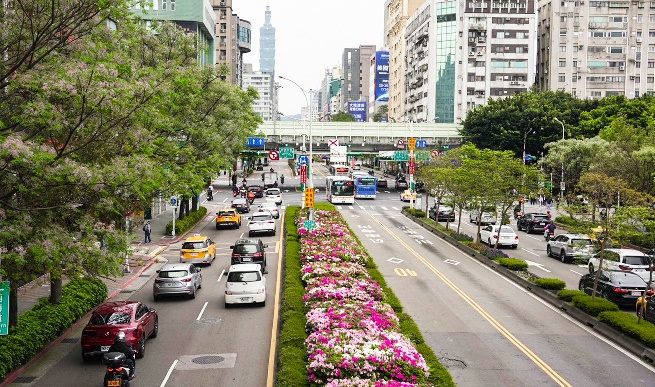 台北遍地杜鵑花　邀請市民共賞春日花海美景