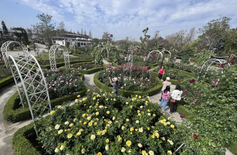 「2025臺灣國際蘭展」蘭展月好康