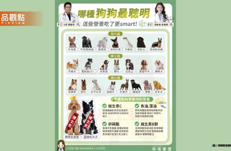 今天我們就一起來探索狗狗智商排行 看看你的毛孩子位於哪個「學術殿堂」