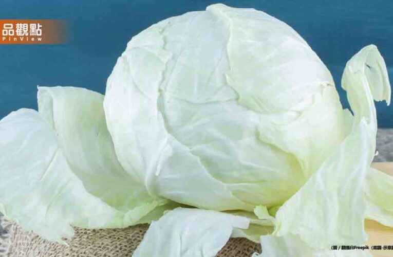 高麗菜價格暴跌！買重還是買輕的？這樣挑脆又甜