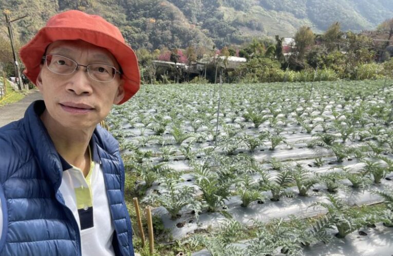 洋薊蔬菜皇解酒保肝？  生化生理機轉是什麼？