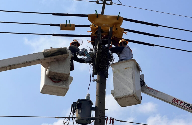 春雷驚蟄到！台電新營區處宣誓守護電網穩定供電決心