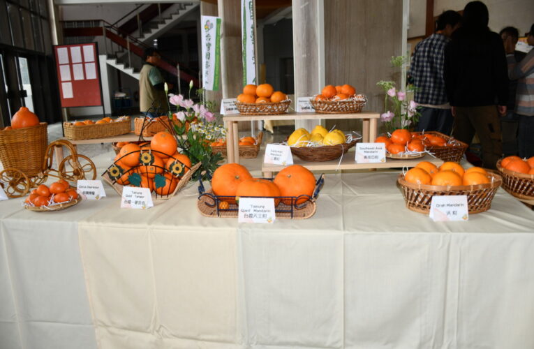 臺灣柑橘產業發展論壇：產官學研合作，推動產業升級與優化