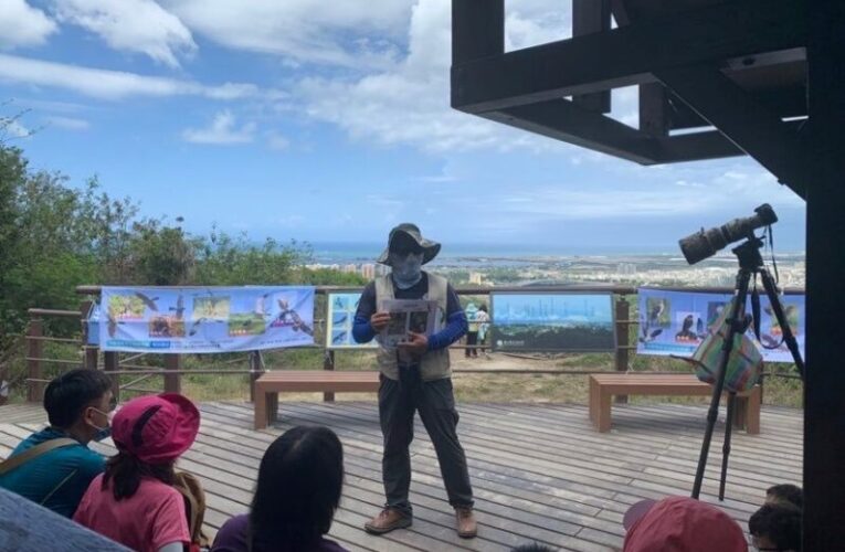 半屏山賞鷹季來了  國家自然公園管理處3月15日起假日上午提供定點解說