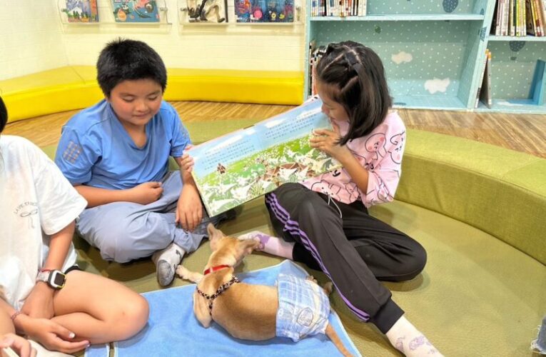 跨域結合動物保護與環境教育  高市動保處讓愛友善動物信念持續傳遞