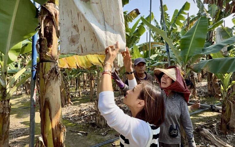 邱議瑩不捨蕉農辛苦遭藍委嘲諷 呼籲「不要讓農民心寒」