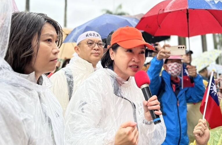 藍營高市主委柯志恩率黨籍議員北上參與 凱達格蘭大道舉辦「反綠共、戰獨裁」集會