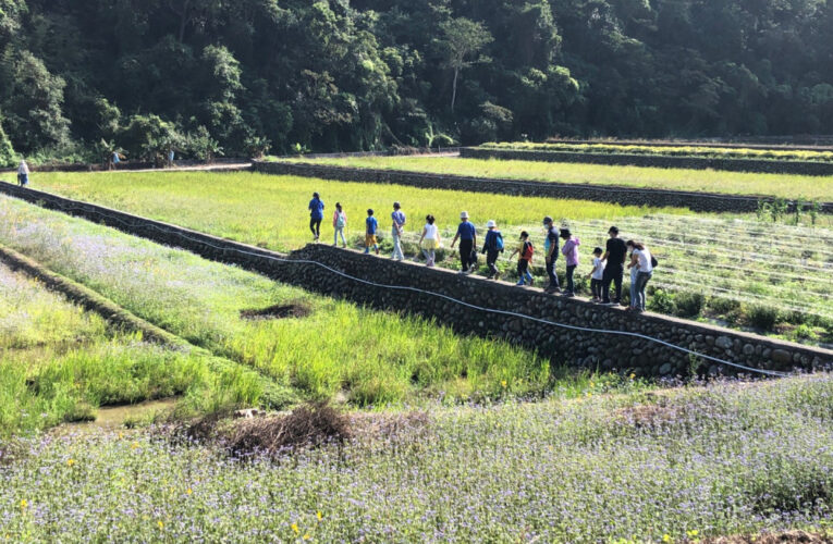 跟著三貓探索人與自然的關係　林保署新竹分署邀您一同「走進里山趣」！