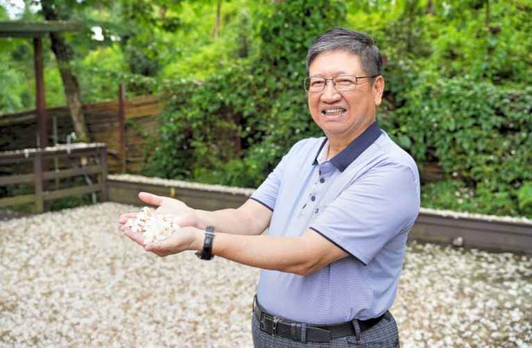 竹縣2025桐花祭開跑　楊文科縣長：5條小旅行邀大家暢遊客庄春日風光