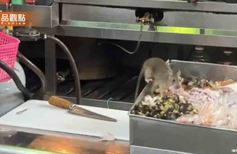 高雄夜市驚見「料理鼠王」 老鼠偷吃透抽超噁畫面曝