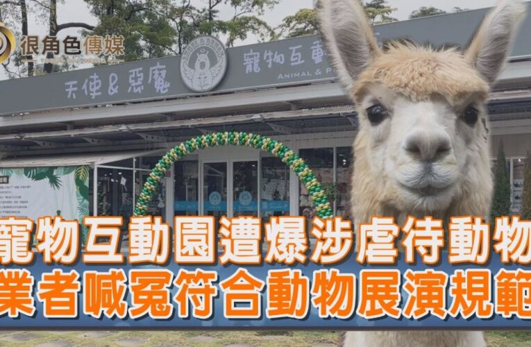 愛護動物｜中央公園寵物互動園區 動保團體控涉虐待動物