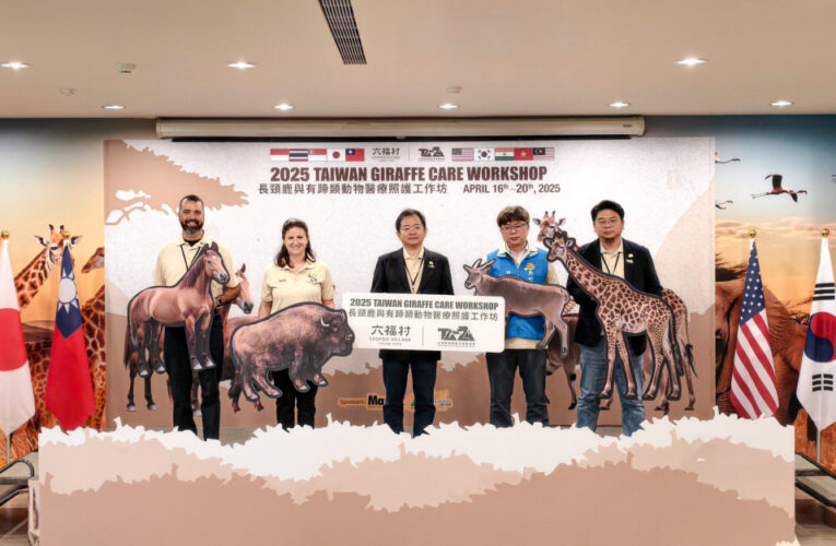 六福村攜手TAZA合作　國際長頸鹿與有蹄類動物醫療照護工作坊盛大登場