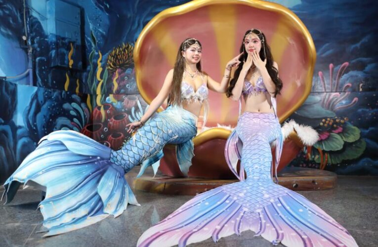 遠雄海洋公園「美人魚嘉年華」登場 實境秀採預約制掀搶購潮