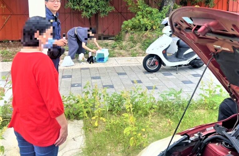 愛貓跑進引擎室　南門警為民服務即刻救援