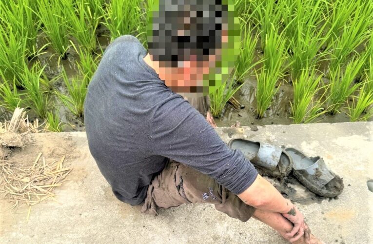 酒醉跌坐稻田邊　北鎮警護送男子返家
