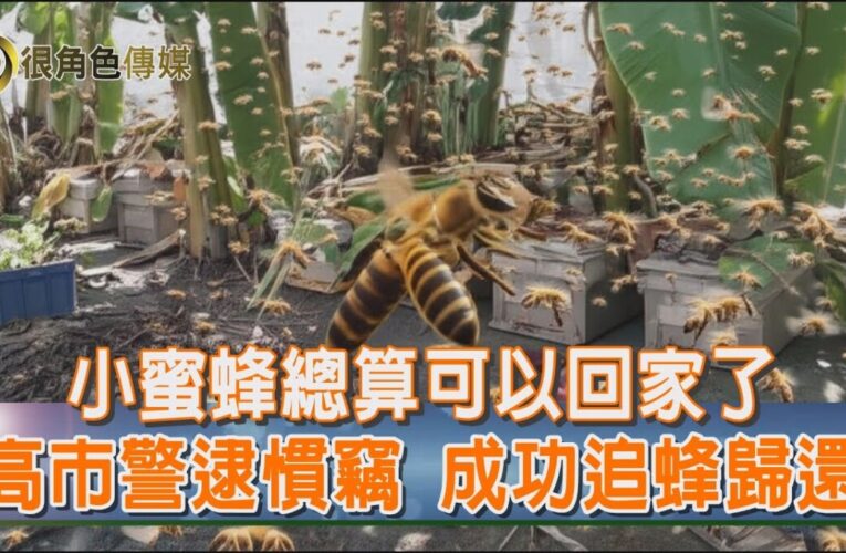 小蜜蜂回家了｜仁武警神速破案！慣竊偷走48箱蜂箱栽了