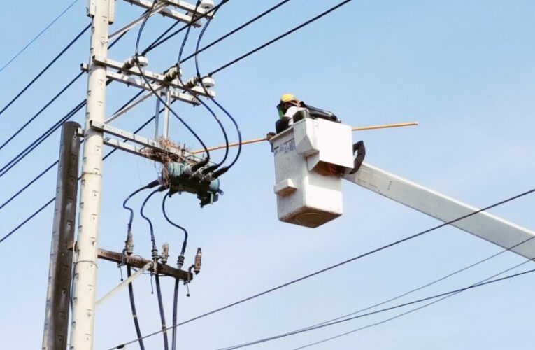 強化電網韌性與供電穩定讓民眾安心過節　台電新竹超前部署電網維護