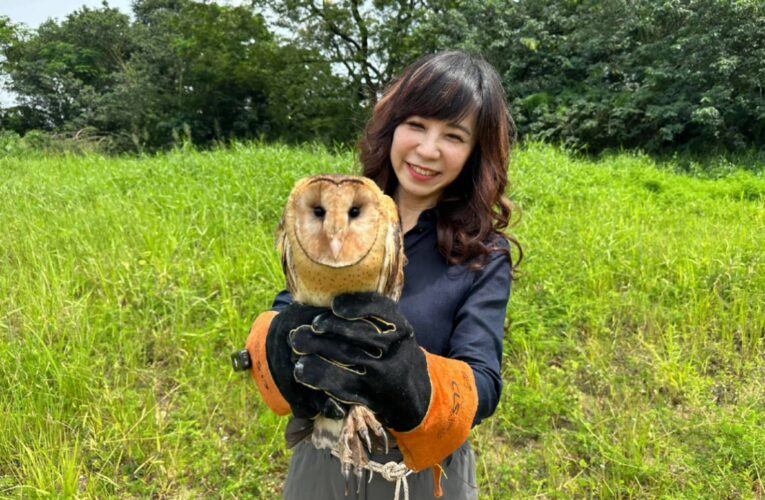 台灣校園生態奇蹟　學生與野生動物共學「共存」