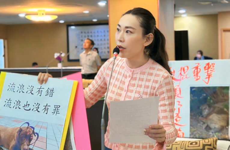 為受虐浪浪申冤 台南市議員曾之婕要求嚴辦