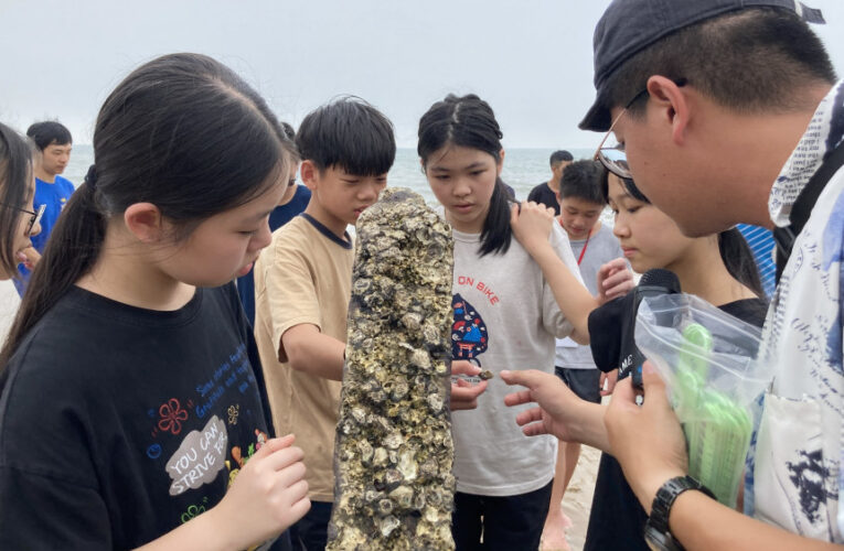 金門新北2正義國小連線-成功玩出漁村新風貌